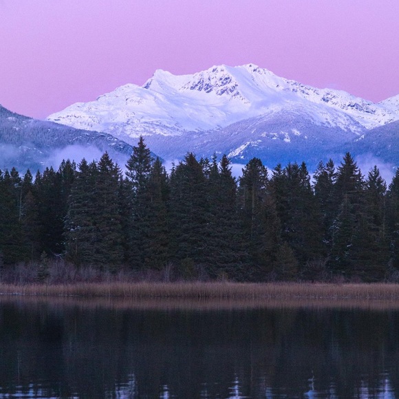 Meet your Posher, Cassia - Picture 1 of 1